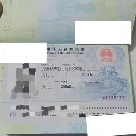 Business Visa Client – Professional Support